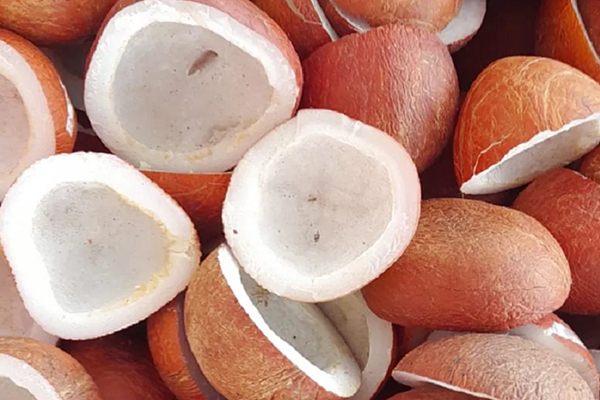 coconut